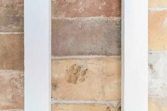 Villa9centob&b Bed & Breakfast